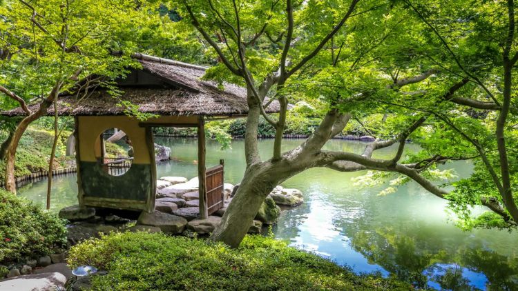 Suasana yang menenangkan di Happo-en Garden Suasana yang menenangkan di Happo-en Garden
