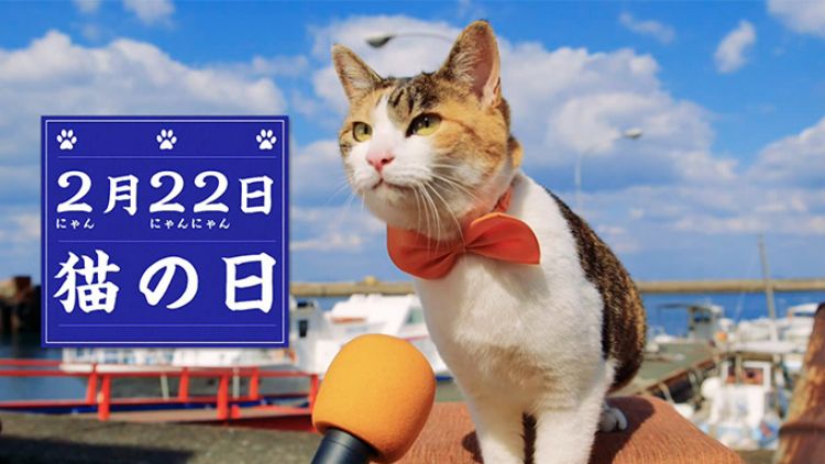 Hari Kucing Nasional Jepang (time-space.kddi.com)