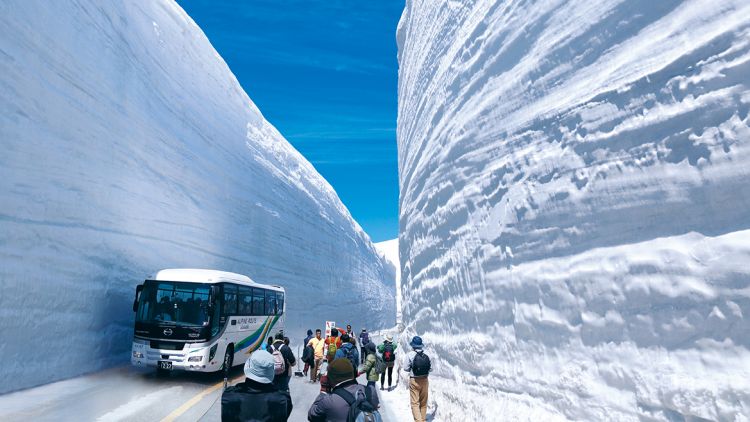Dinding salju yang memukau di Tateyama Kurobe Alpine Route Dinding salju yang memukau di Tateyama Kurobe Alpine Route
