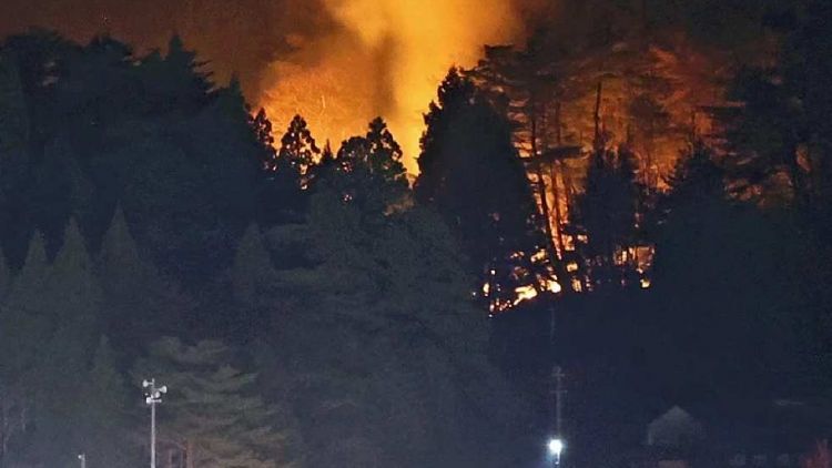 Kebakaran Hutan Iwate Memasuki Minggu Kedua, 2.600 Hektar Lahan Terbakar