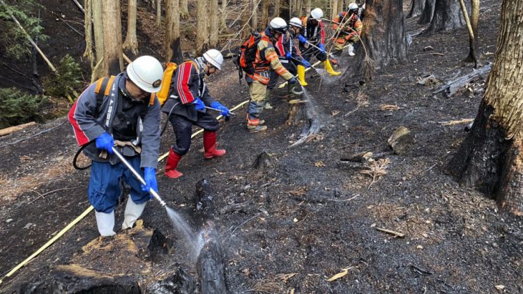 Kebakaran Hutan di Ofunato Berhasil Dipadamkan Setelah 12 Hari Kebakaran Hutan di Ofunato Berhasil Dipadamkan Setelah 12 Hari