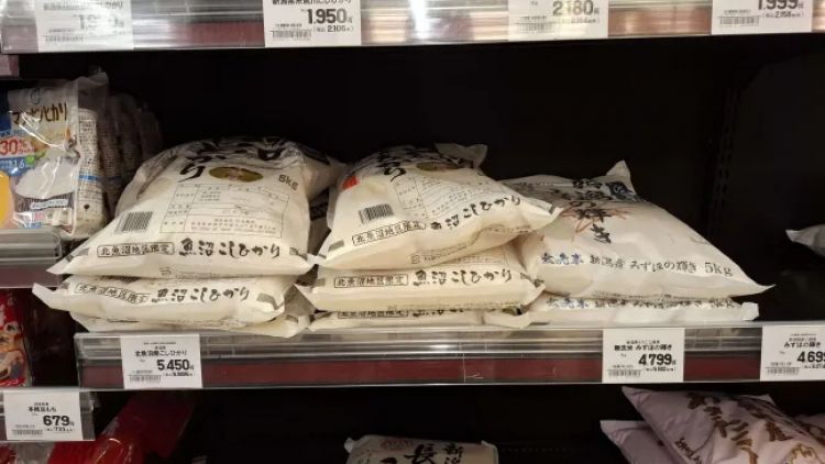 Harga beras di Jepang tahun 2025