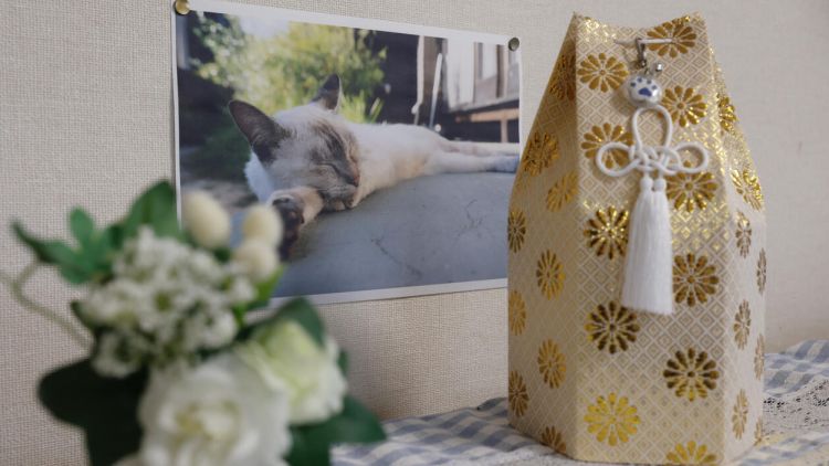 Permintaan untuk Dimakamkan Bersama Hewan Peliharaan di Jepang Menguat