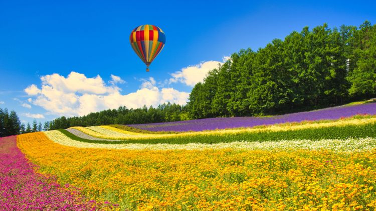 Furano Hot Air Balloon Furano Hot Air Balloon