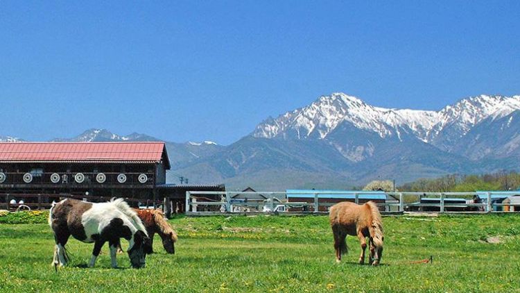 Suasana di pedesaan Nobeyama (Rakuten Travel)