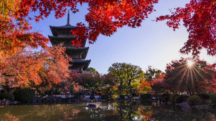 Autumn Forecast 2025 Jepang