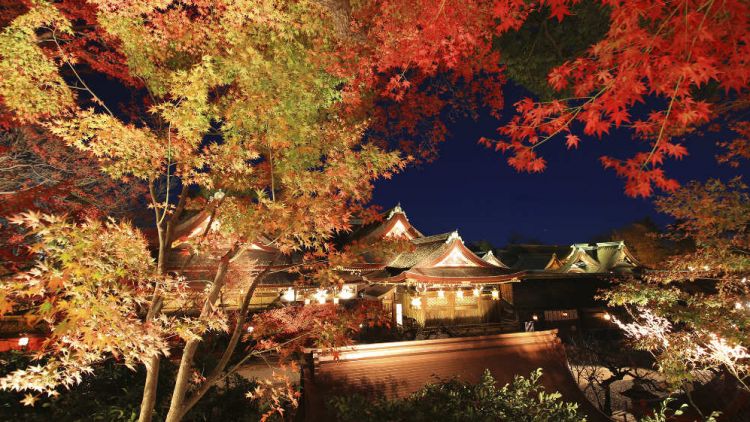Kyoto Autumn 2025: Rekomendasi Destinasi untuk Menikmati Musim Gugur Terbaik!