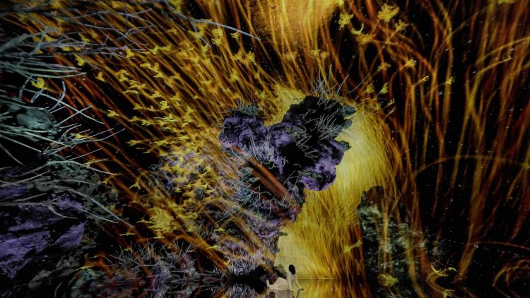 teamLab Biovortex Kyoto: resmi dibuka 7 Oktober 2025