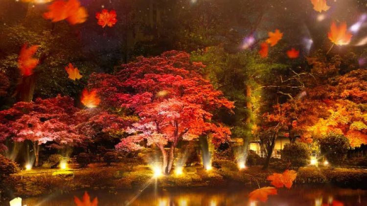 Sapporo Autumn Illuminations 2025: Pesta Cahaya di Nakajima Park!