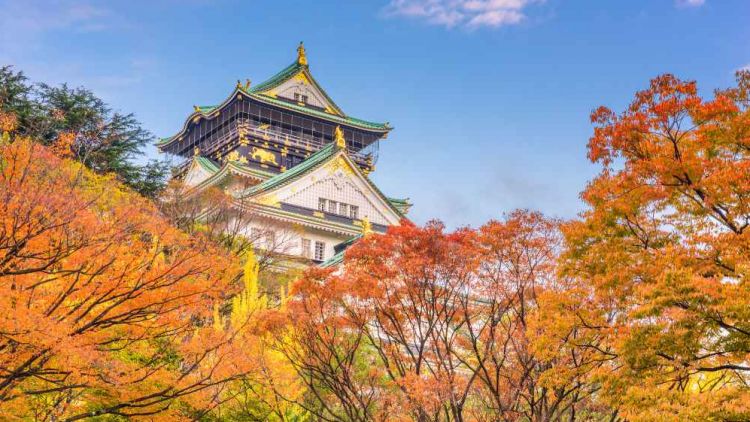 Musim Gugur di Osaka? Ini 7 Tempat yang Wajib Dikunjungi!