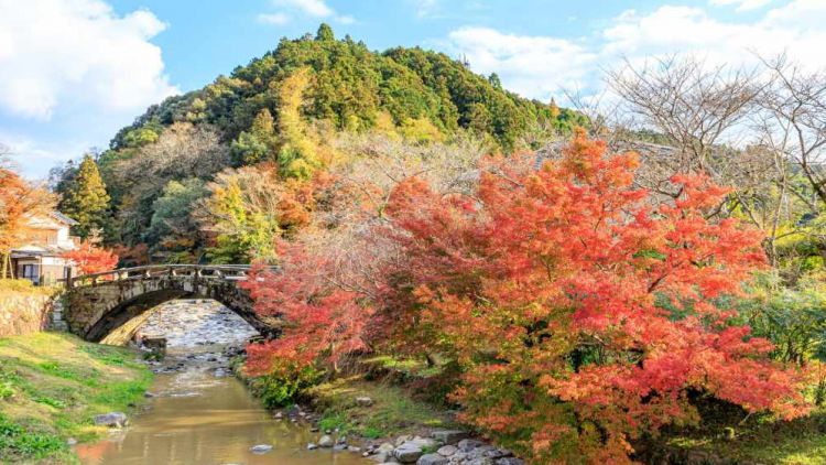 7 Destinasi Musim Gugur di Fukuoka yang Wajib Dikunjungi! 7 Destinasi Musim Gugur di Fukuoka yang Wajib Dikunjungi!
