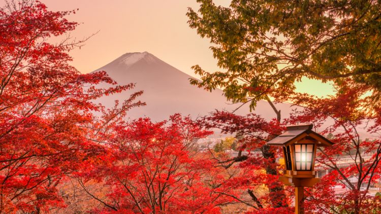 [UPDATE NOVEMBER 2025] Autumn Forecast 2025 Jepang!