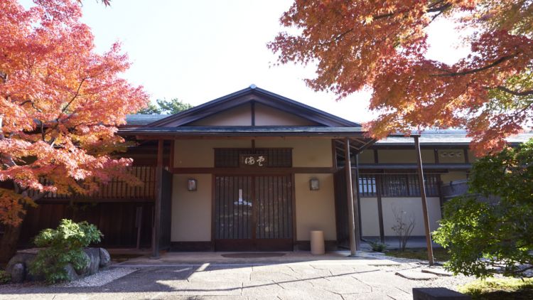 Eksplorasi Shizuoka, Oasis Teh Hijau di Tengah Rute Emas Jepang