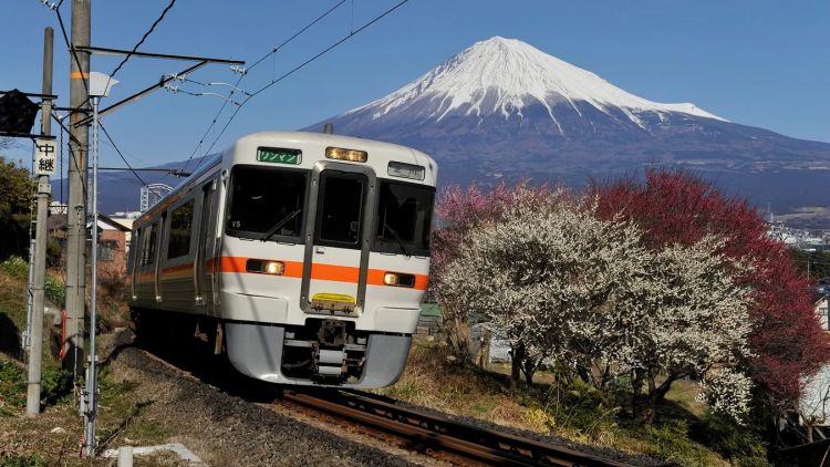 Cara Baru Lihat Gunung Fuji: Naik Kereta Eksklusif Khusus Turis 