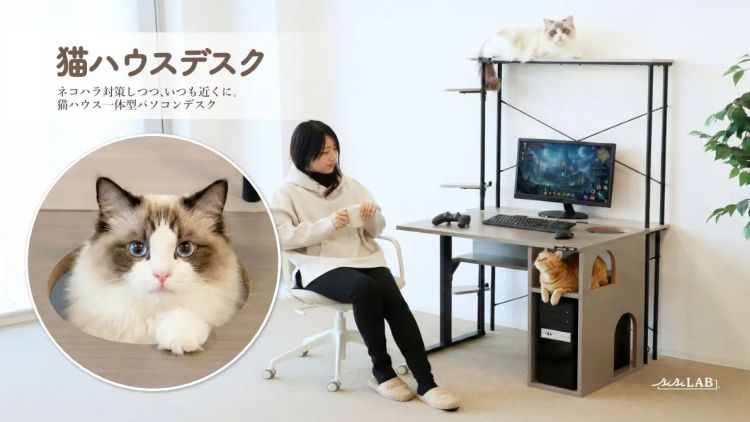 Neko House Desk - Meja Kerja Unik Khusus Pecinta Kucing
