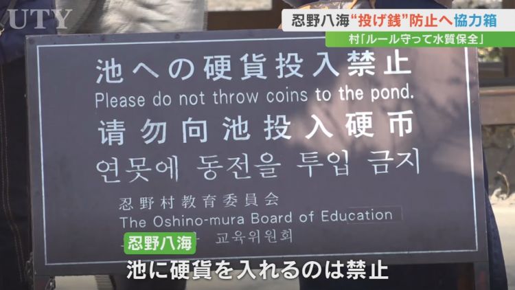 Kolam Koi di Oshino Hakkai Terdampak Akibat Ulah Wisatawan