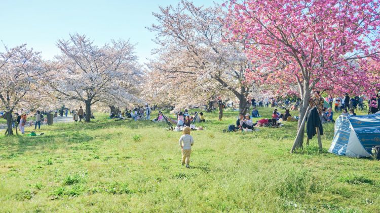 Toneri Park, Adachi, Tokyo. Wawa Wardana/Japanese Station