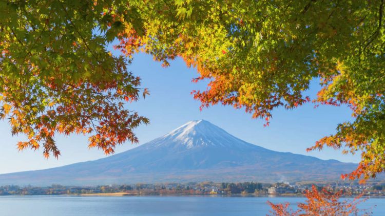 Rekomendasi Spot Menikmati Keindahan Gunung Fuji