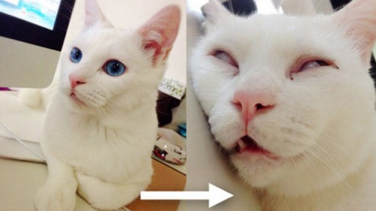 2a itnoabh6n16dpzzmgfwp 2a itnoabh6n16dpzzmgfwp