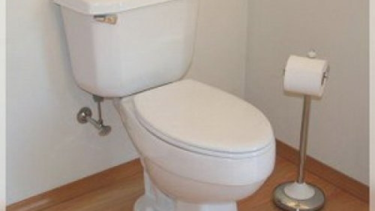 30 Persen Pria Jepang Lebih Suka Duduk di Toilet Saat Buang Air Kecil