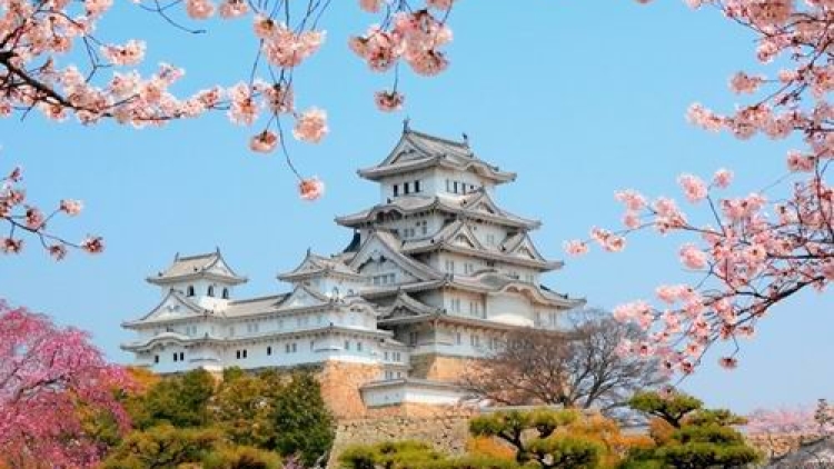 7 Festival bunga sakura paling meriah (2) 7 Festival bunga sakura paling meriah (2)