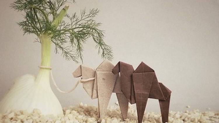 Bukan Sekedar Seni Origami Ini Seperti Benda Hidup Dengan Benda Di Sekitarnya (3)