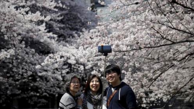 Bulan Ini, Jumlah Turis di Jepang Melonjak Tajam (1) Bulan Ini, Jumlah Turis di Jepang Melonjak Tajam (1)