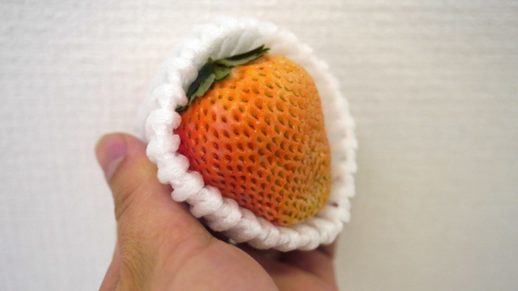 Di Jepang Ada Buah Peach Rasa Stroberi