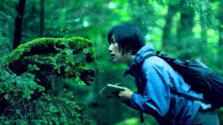 Hobi baru orang-orang di Jepang, memperhatikan lumut untuk bersenang-senang Hobi baru orang-orang di Jepang, memperhatikan lumut untuk bersenang-senang