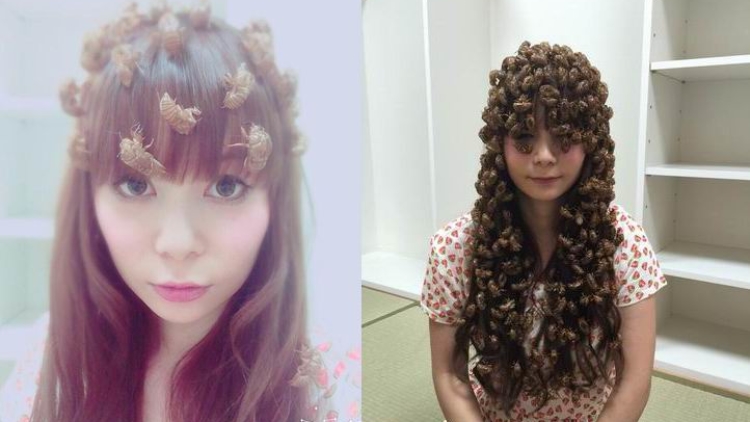 Idola para otaku, Shokotan, kembali memperlihatkan hobi uniknya menaruh serangga di atas kepalanya