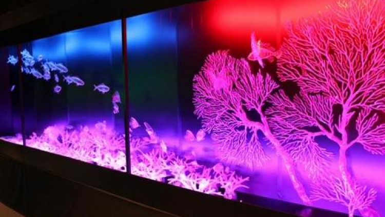 Karya seni unik terbuat dari botol-botol plastik yang menakjubkan (1)