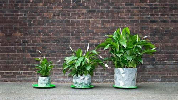 Keren! Pot 'Origami  yang dapat berubah bentuk ini akan tumbuh dengan tanaman di dalamnya! (1) Keren! Pot 'Origami  yang dapat berubah bentuk ini akan tumbuh dengan tanaman di dalamnya! (1)