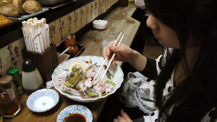 Makanan dari Binatang Yang Masih Hidup Ala Jepang (7)