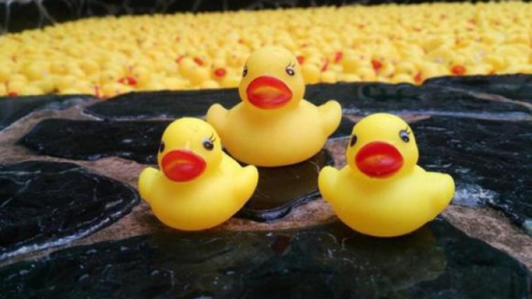 Mandi dengan Ribuan Bebek di Pemandian Umum (1)