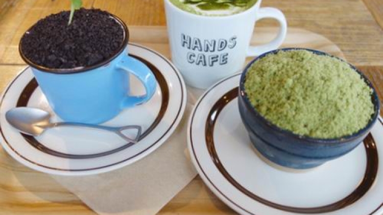 Mau Coba Tanah dan Bonsai yang Bisa Dimakan Ini (1)