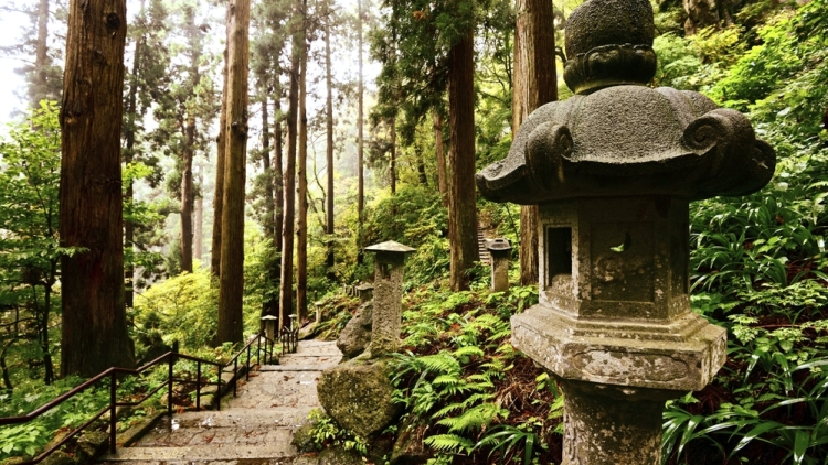 Mountain Temple Trail