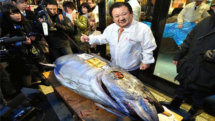Pemilik Toko Sushi Beli Seekor Ikan Tuna Seharga 4,51 Juta Yen Pemilik Toko Sushi Beli Seekor Ikan Tuna Seharga 4,51 Juta Yen