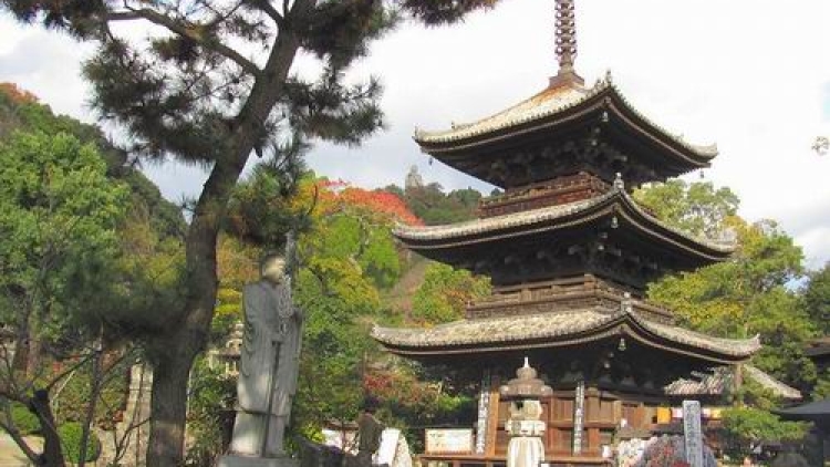 Perjalanan Menyenangkan di Matsuyama, Jepang (4)