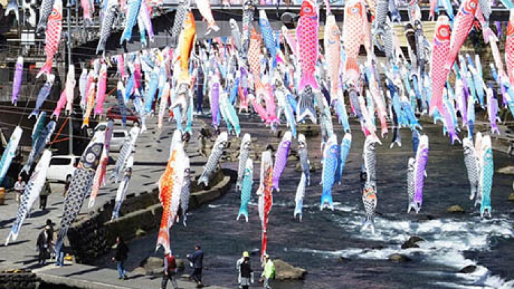Ribuan 'koinobori' berenang di antara angin menyambut musim semi di Kumamoto, Jepang