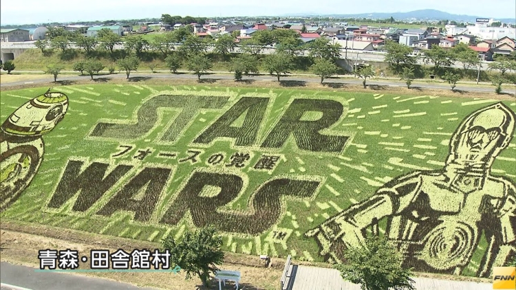 Seni melukis sawah telah menarik para wisatawan untuk datang ke utara Jepang Seni melukis sawah telah menarik para wisatawan untuk datang ke utara Jepang