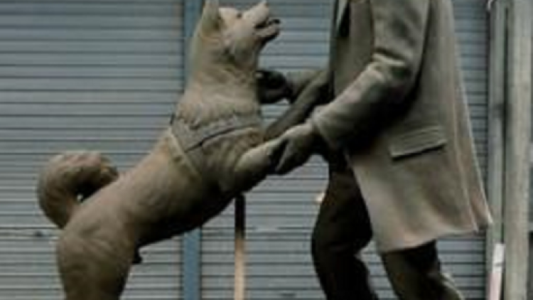 Setelah 80 tahun, akhirnya Hachiko dipersatukan lagi dengan tuannya (2)