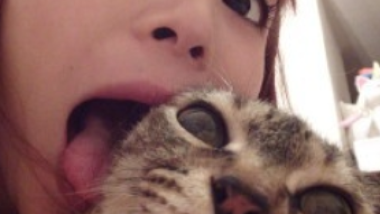 Shokotan mengendarai kucing raksasa dalam video iklan di Jepang (1)