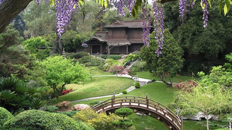 Taman Kyoto akan menampilkan berbagai tanaman yang terancam punah