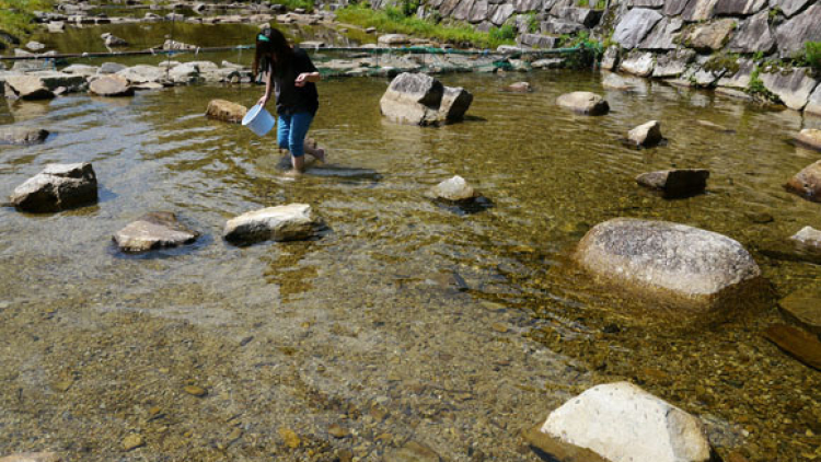Tangkap Ikan dengan Tangan, Wisata Unik di Nagano (2)