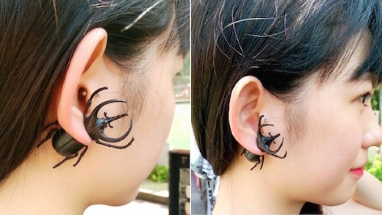 Tren baru di Jepang Anting-anting berbentuk Kumbang Badak Jepang (1) Tren baru di Jepang Anting-anting berbentuk Kumbang Badak Jepang (1)