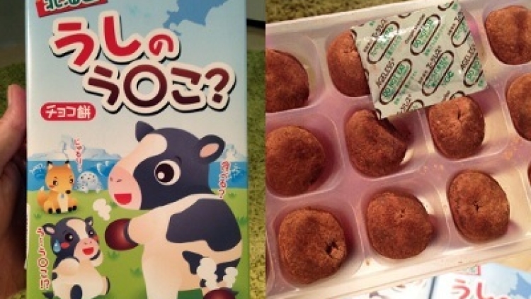 Wah, Ada Moci Cokelat Berbentuk Kotoran Sapi (1)