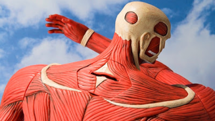 Wah, Colossal Titan dari Attack on Titan kini hadir dalam bentuk celengan yang dirilis Premium Bandai! (1)