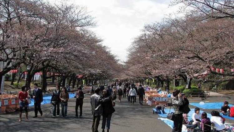 Yuk, Kunjungi Jepang di Hari Kasih Sayang (1)
