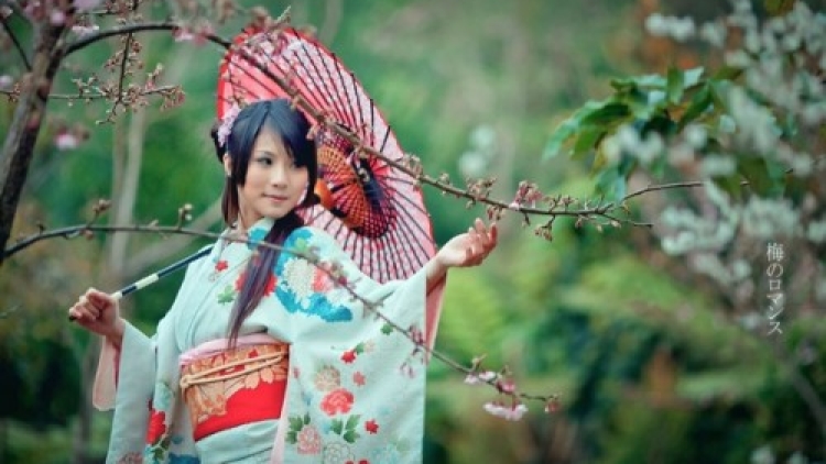brunettes women cherry blossoms garden japanese asians umbrellas japanese clothes black hair_wallpaperswa.com_44 brunettes women cherry blossoms garden japanese asians umbrellas japanese clothes black hair_wallpaperswa.com_44