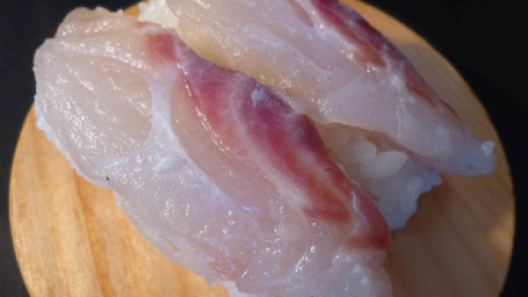 ikancoverdalam ikancoverdalam